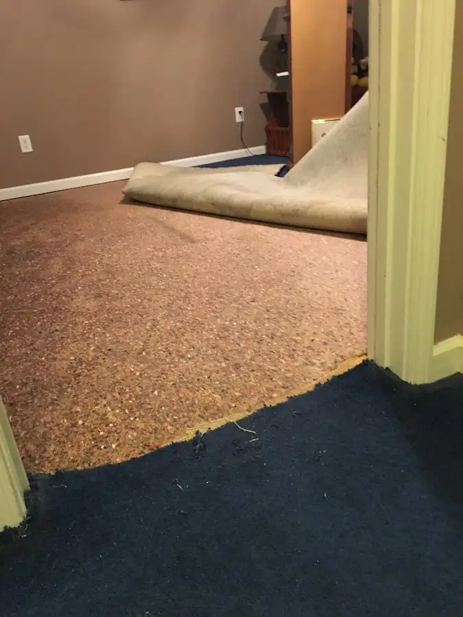 Carpet pad removal revealing water damage during Water Mitigation Services in Burnt Mills