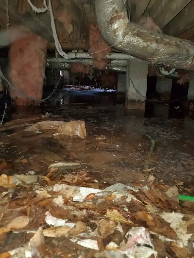 Crawl space flood assessment for Commercial Water Damage Restoration in Burnt Mills