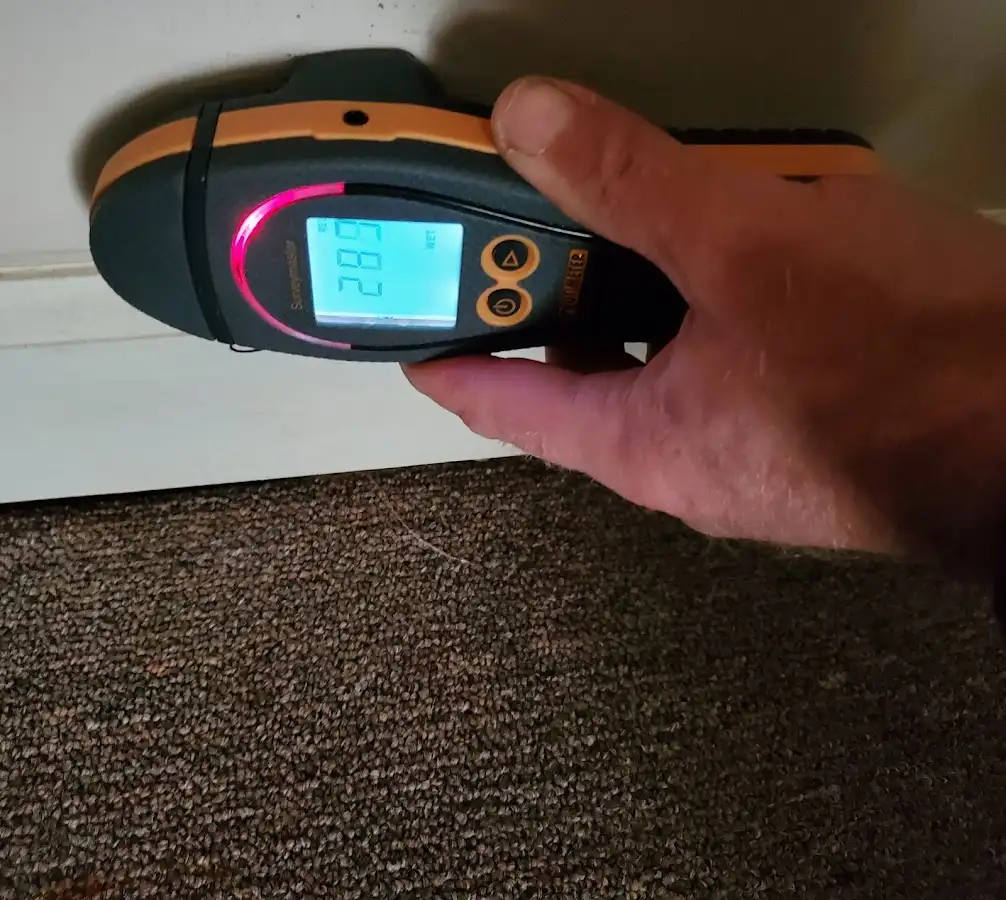 Moisture detection at baseboard during Sewage Cleanup & Sanitation in Burnt Mills